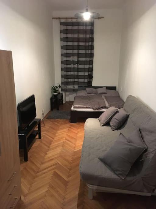 Utulne Ubytovani U Centra V Blizkosti Vystaviste Brno Eksteriør bilde